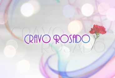 CRAVO ROSADO